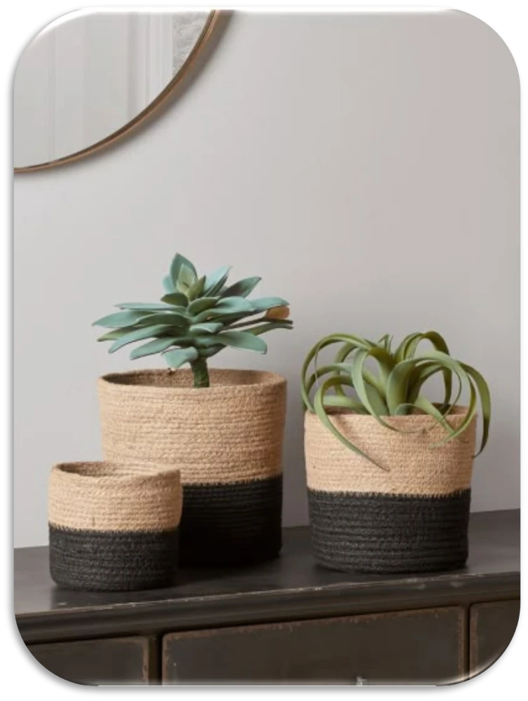 JUTE PLANT BASKET