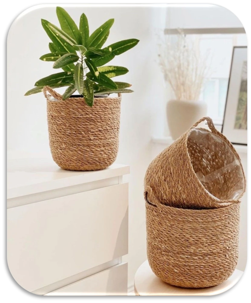HOGLA PLANT BASKET
